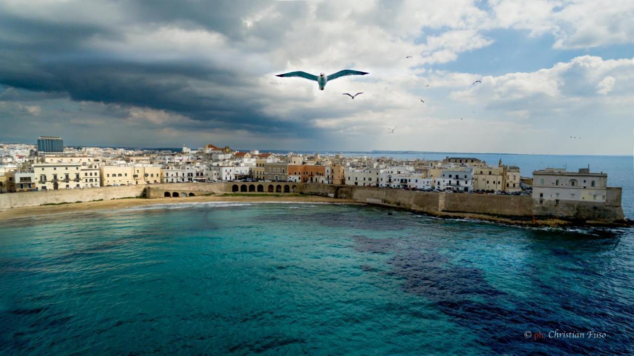 Ventidimaregallipoli Kültér fotó